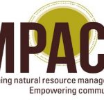 IMPACT
